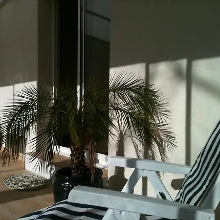 Avenue Appartement